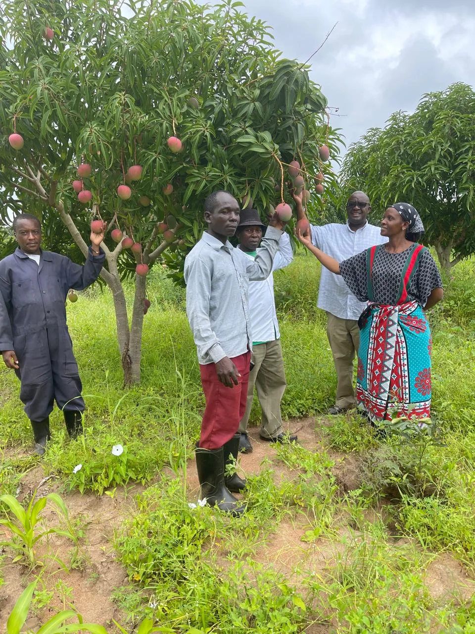 Rural Training & Skills Centre